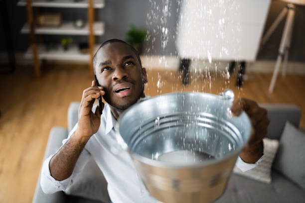Best Water damage contractors near me  in San Ramon, CA