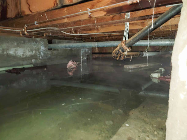 Best Commercial water damage restoration  in San Ramon, CA