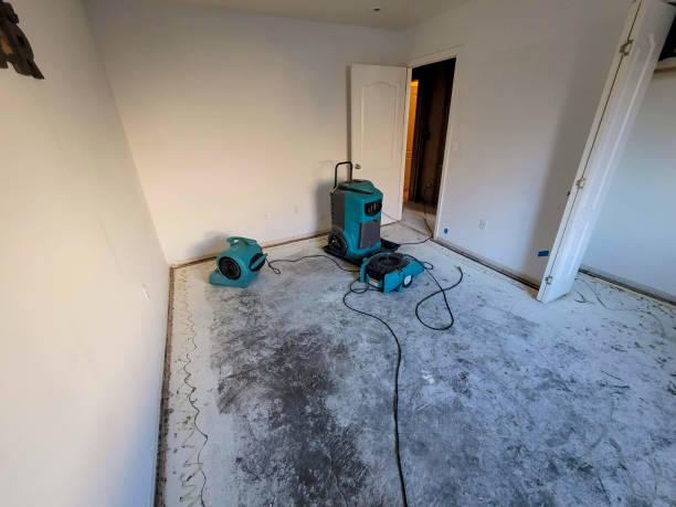 Best 24-hour water damage restoration  in San Ramon, CA