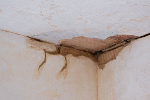 Best Sewage cleanup and water damage restoration  in San Ramon, CA