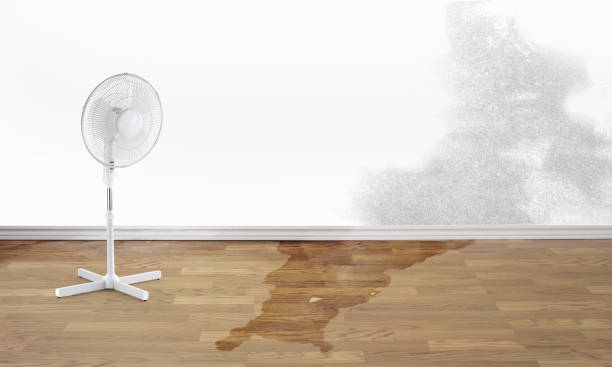 Best Flood restoration services  in San Ramon, CA