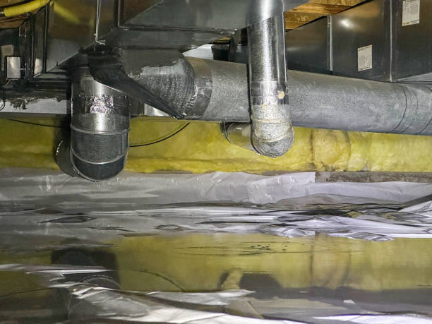 Best Mold removal after water damage  in San Ramon, CA