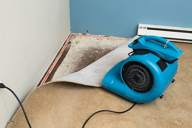 Best Professional water damage repair  in San Ramon, CA